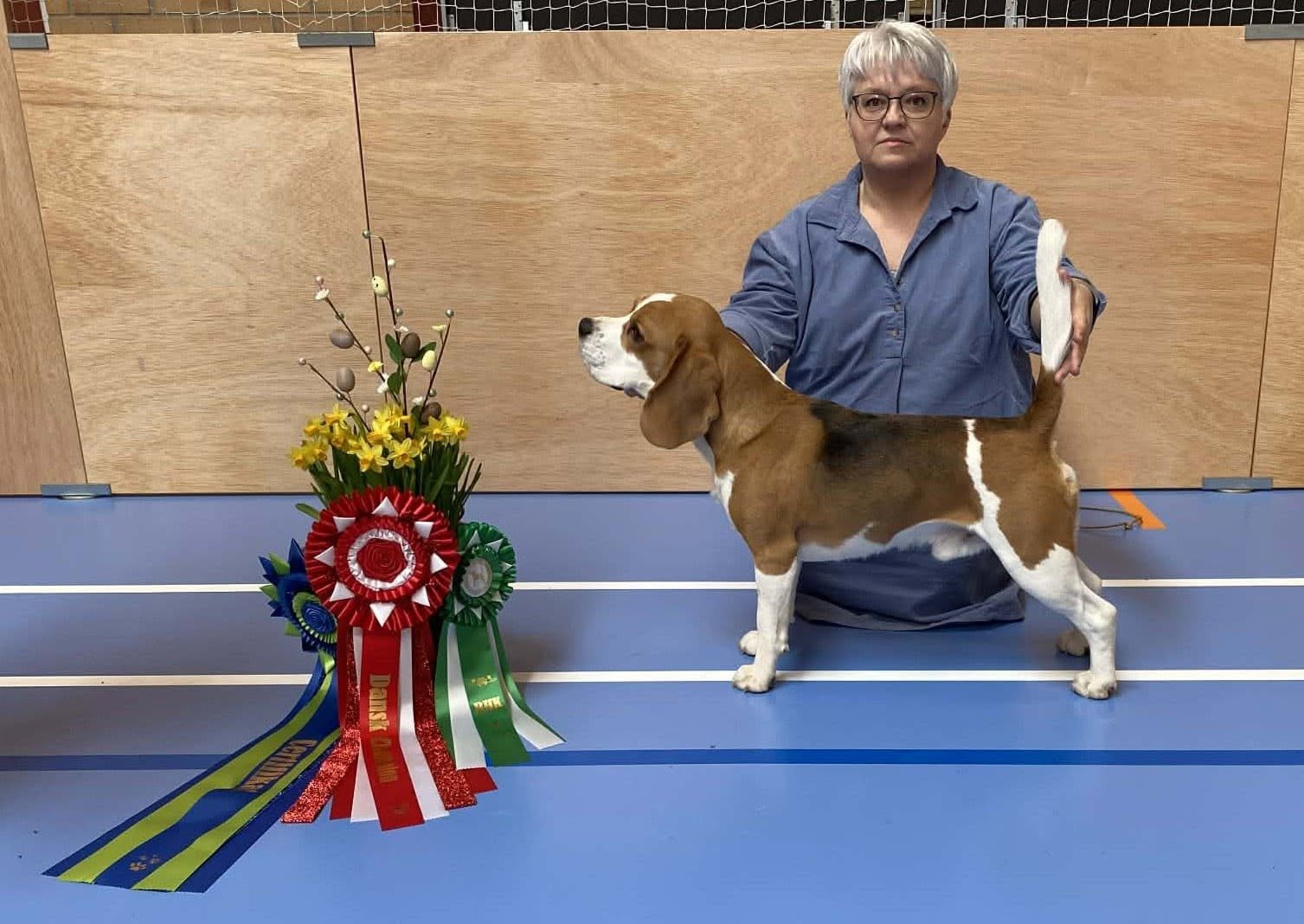 ALFRED DANSK CHAMPION