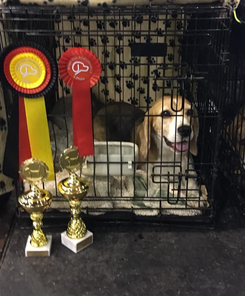 ALMA NY BCD CHAMPION