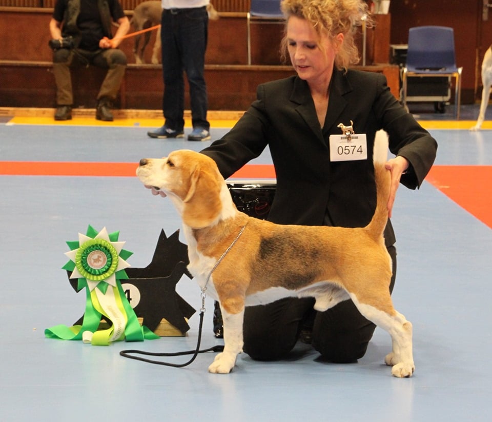 ASLAN BEDST I RACEN OG BIG4