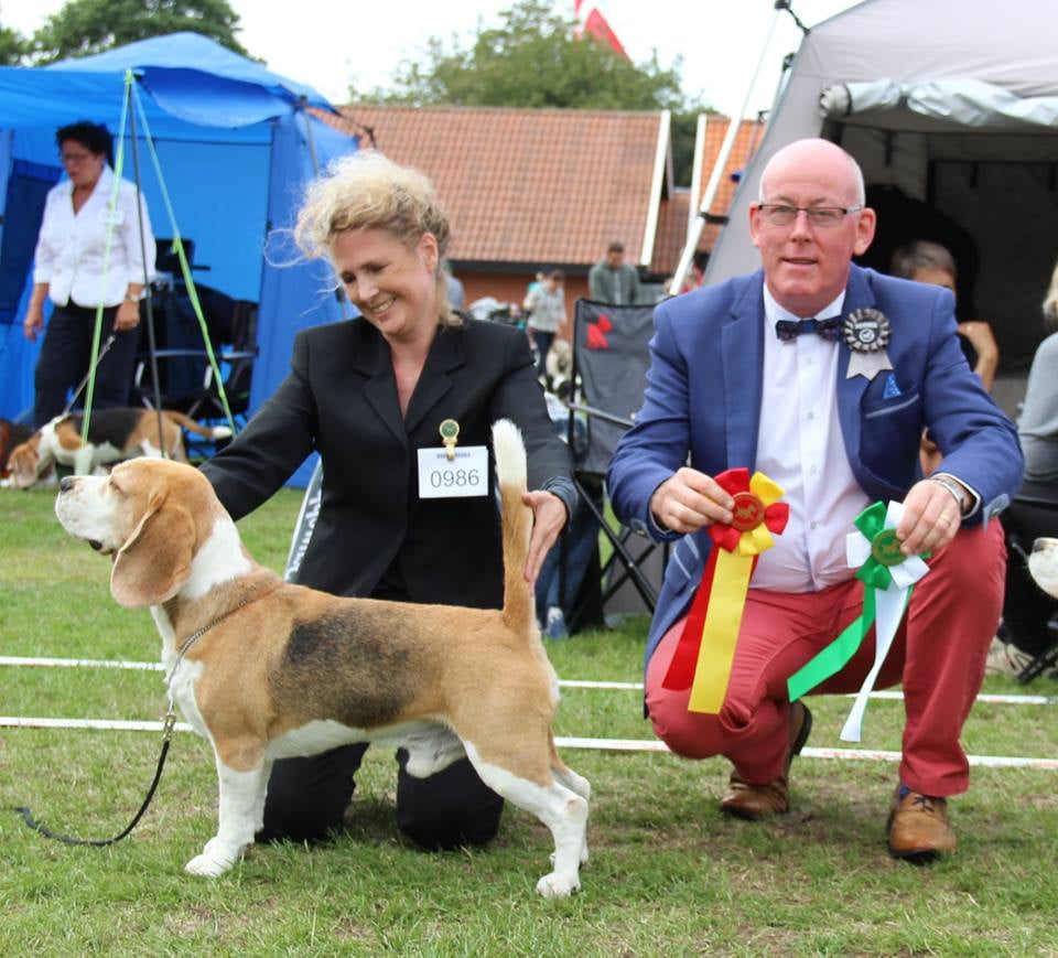 ASLAN BEDST I RACEN