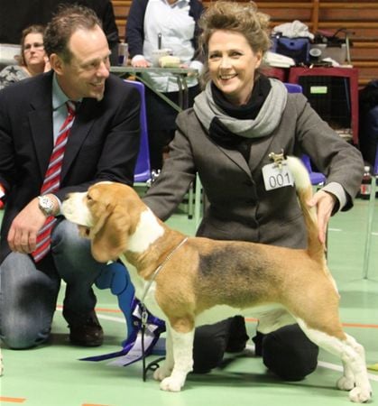 ASLAN DANSK KLUB CHAMPION