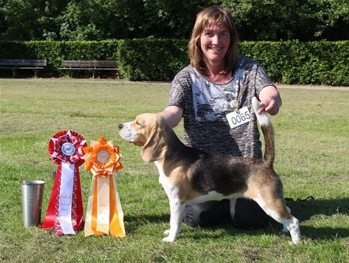 ALMA BEDST I SHOW 3