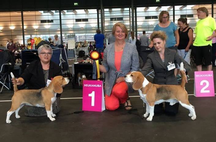 THILDE BEDST I RACEN