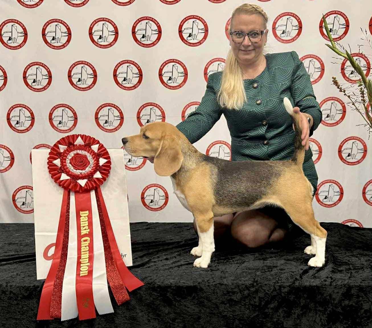 AGNES DANSK CHAMPION