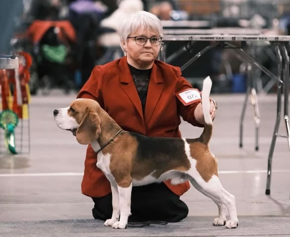 ALFRED JUNIORCHAMPION