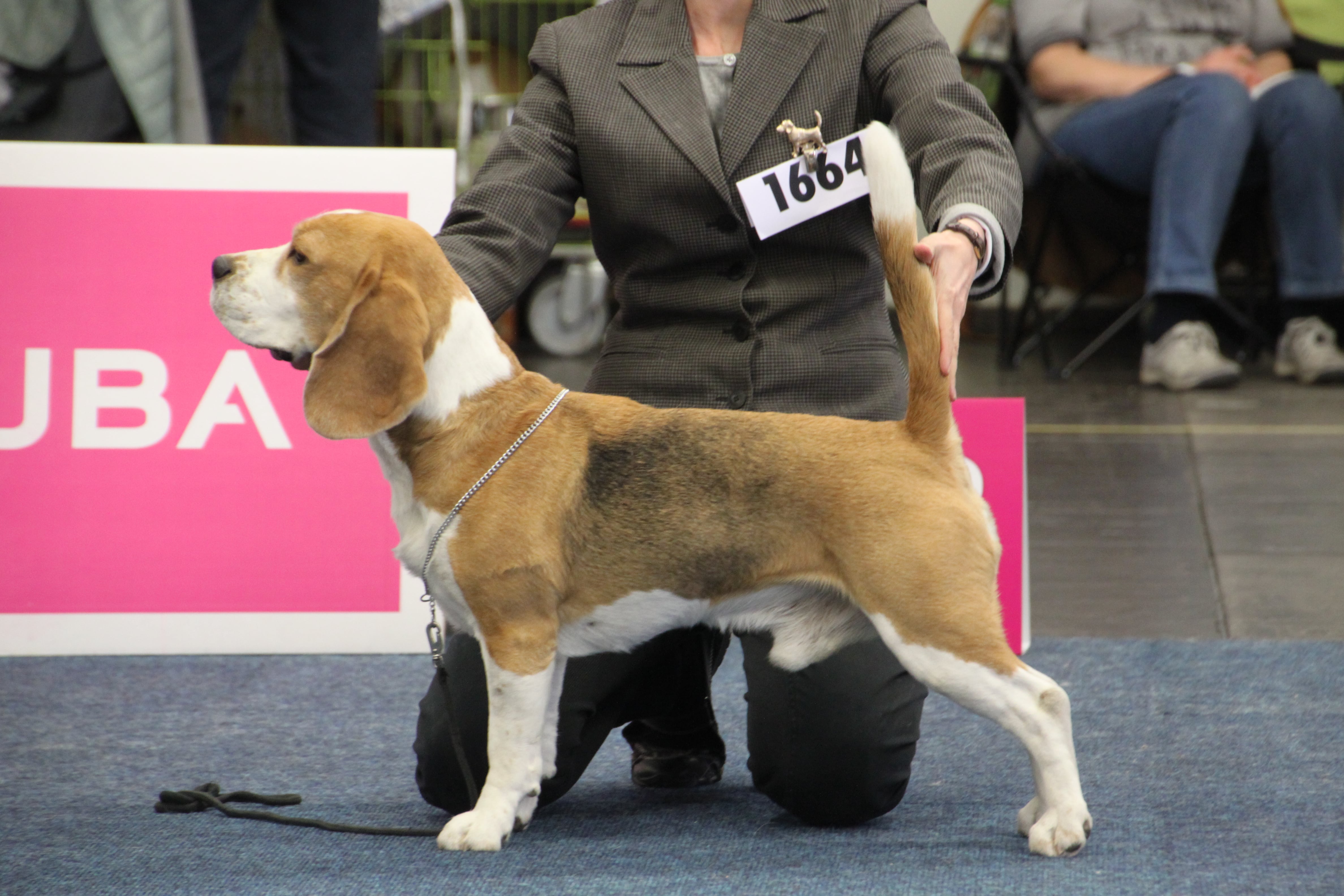 ASLAN FRÜHJAHRSIEGER 2016