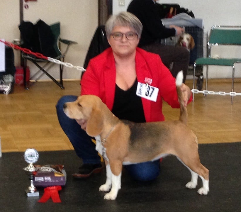 AVIAJA TYSK JUNIORCHAMPION