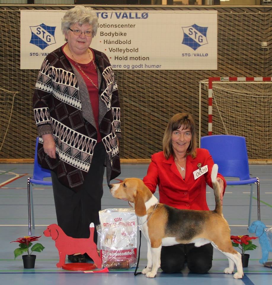 CARAMELLO JUNIORCHAMPION