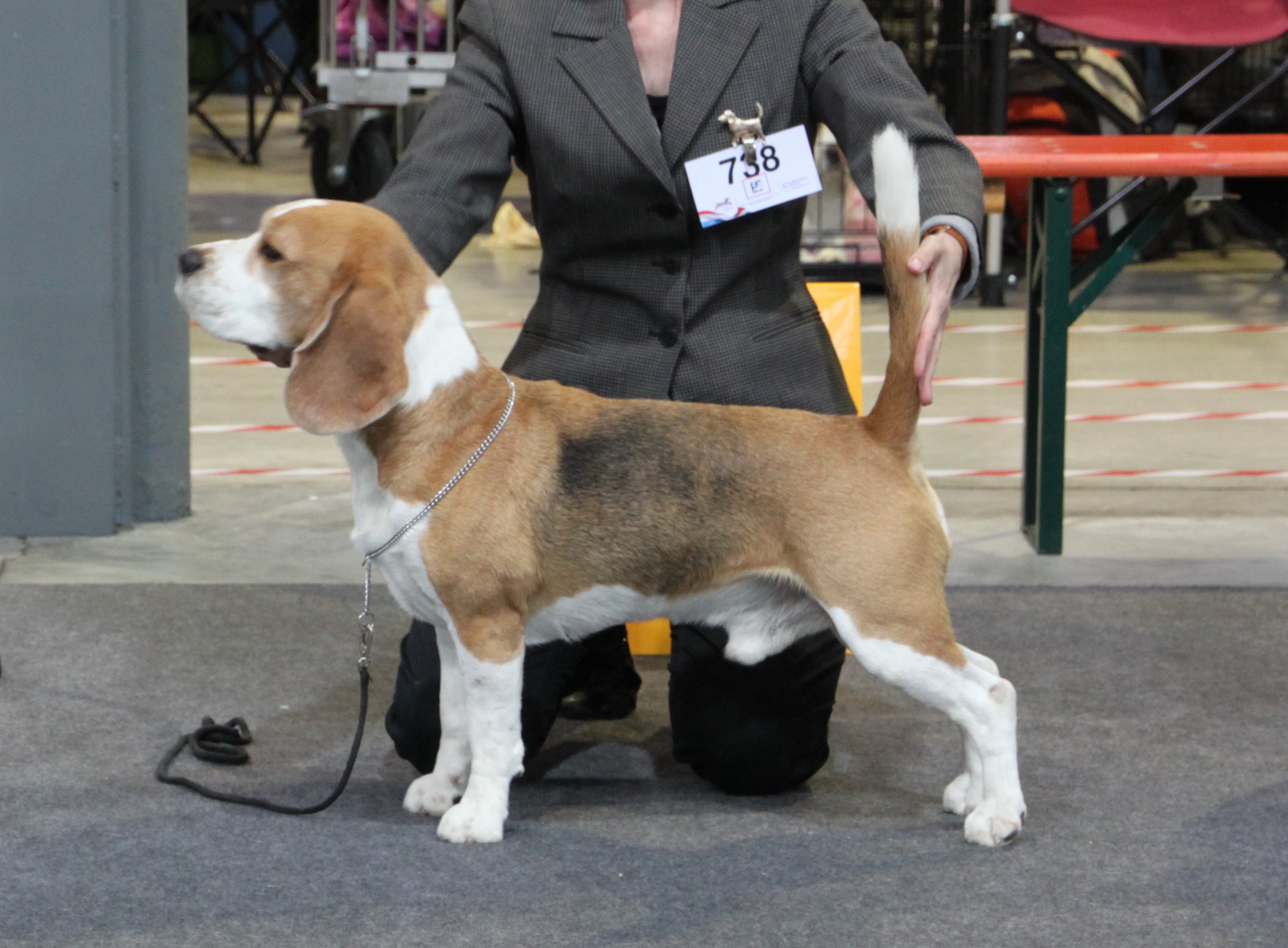 ASLAN LUXEMBOURGSK CHAMPION