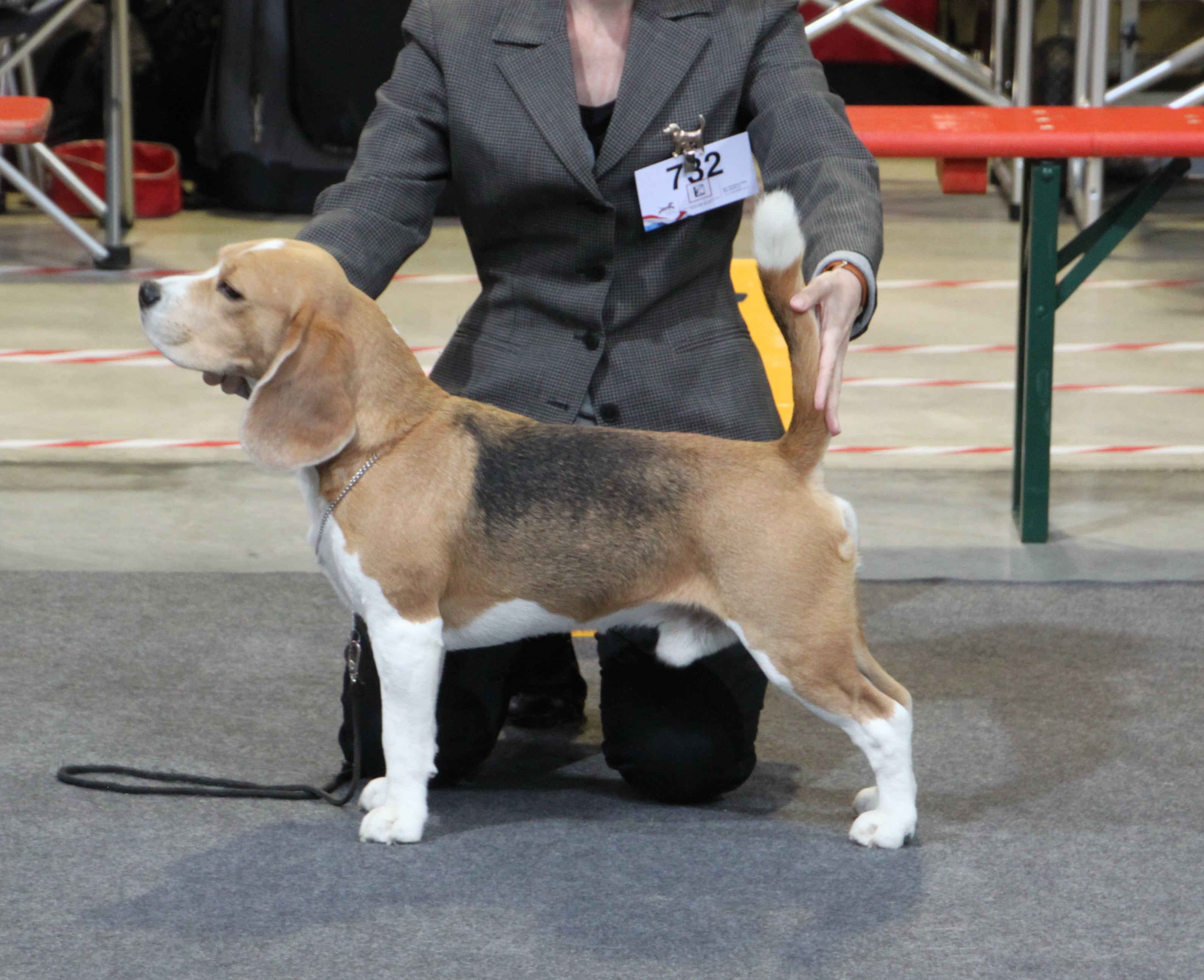 MELVIN LUXEMBOURGSK CHAMPION