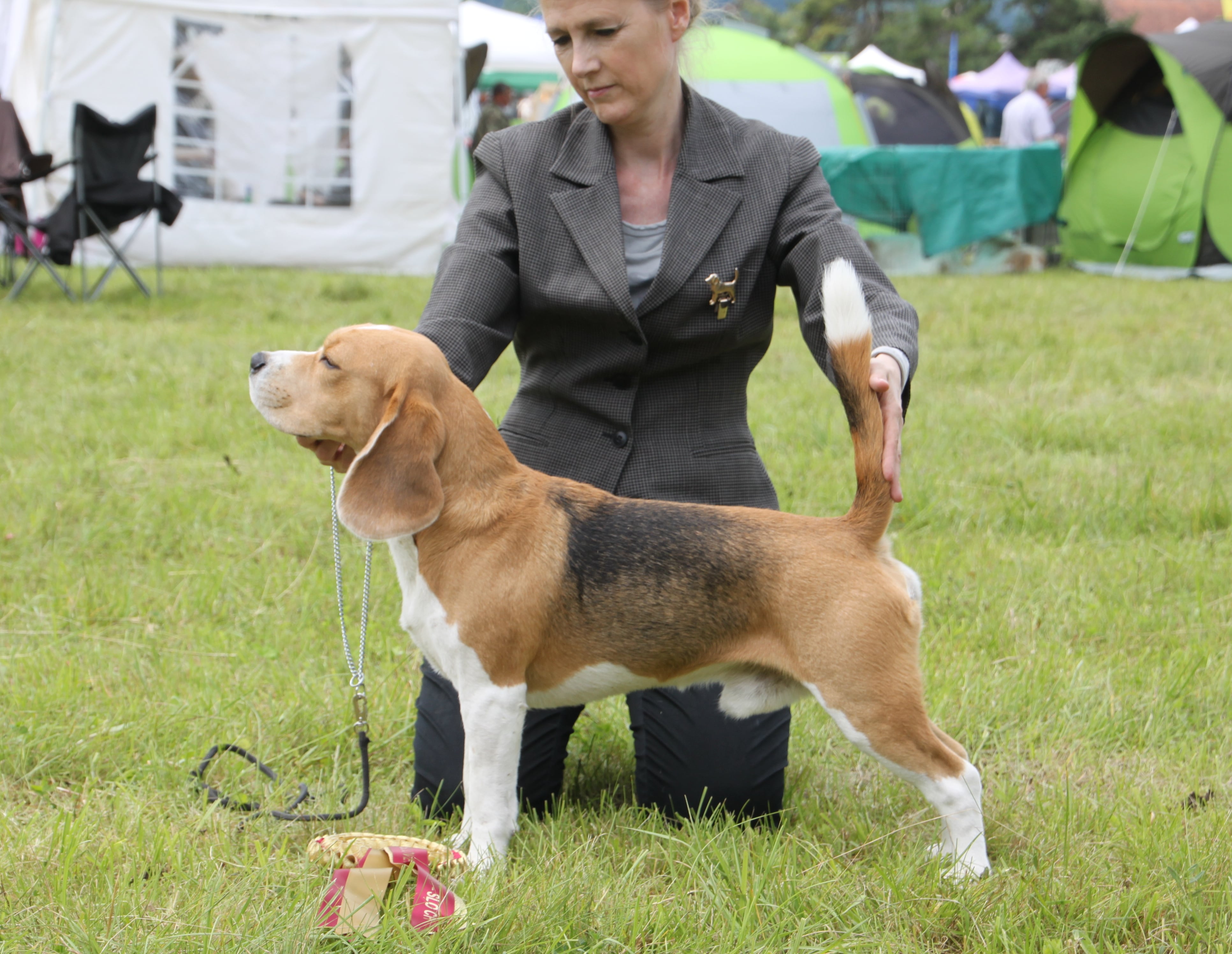 MELVIN SLOVENSK CHAMPION, INTCH OG INTCH (U)